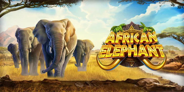 Slot African Elephant Terpopuler dengan Pola Jackpot